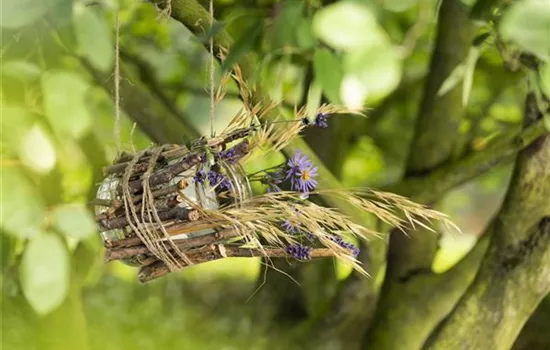 Ein Vogelhaus aus einem Weckglas - gläserner Futter-Stopp für Vögel