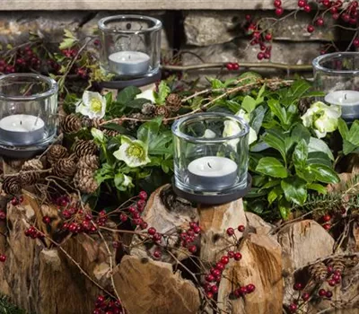 Adventskranz gestalten Adventskranz gestalten