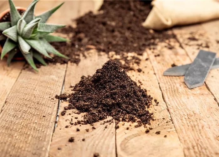 Bodenanalyse Bodenanalyse