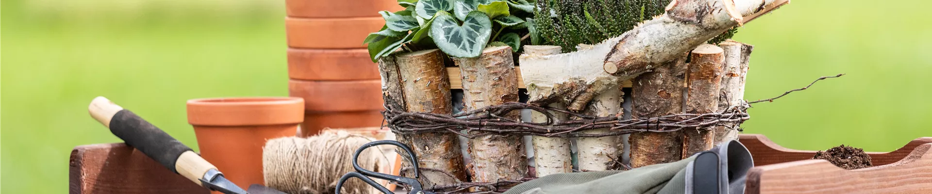 Pflanzgefäß im Ambiente