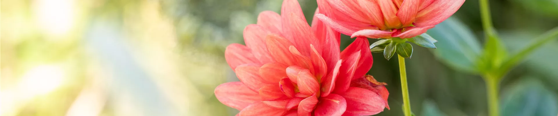 2021-1-20.9-30.GS649649