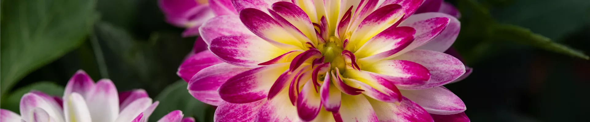 2021-1-21.14-13.GS671324