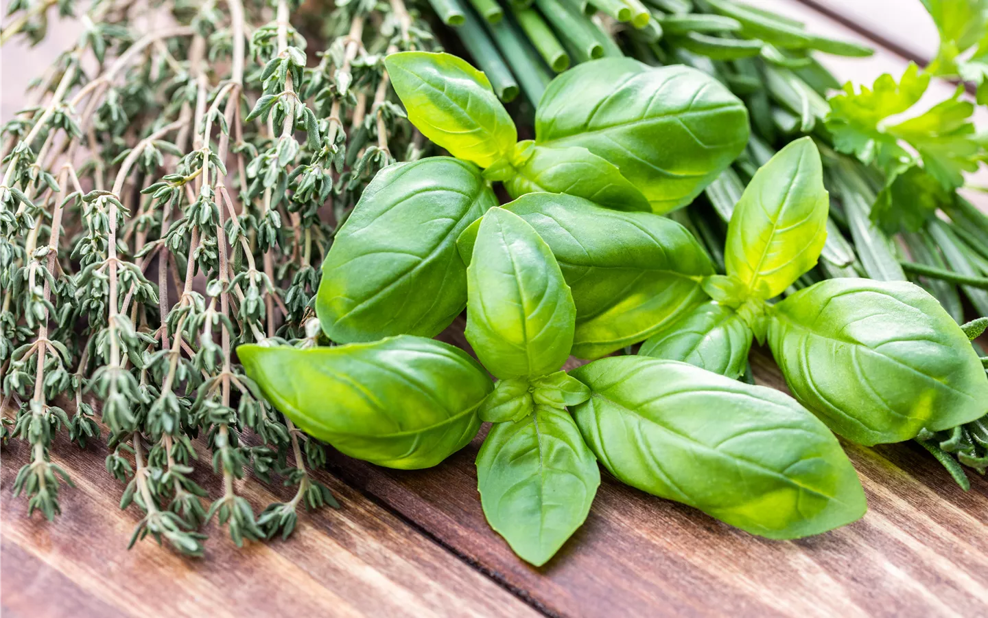 Kräuter und Gemüse