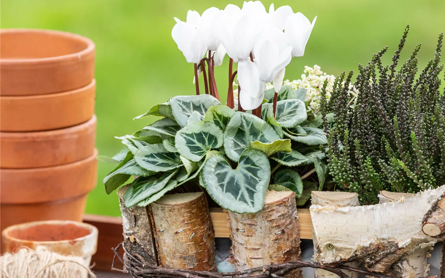 Gartenboutique & Ambiente