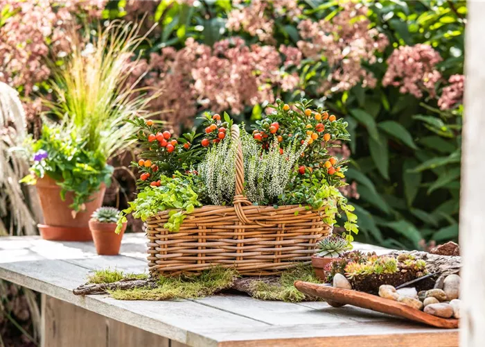 Philosophie Philosophie