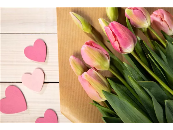 Florist/in (m/w/d) ab sofort gesucht 