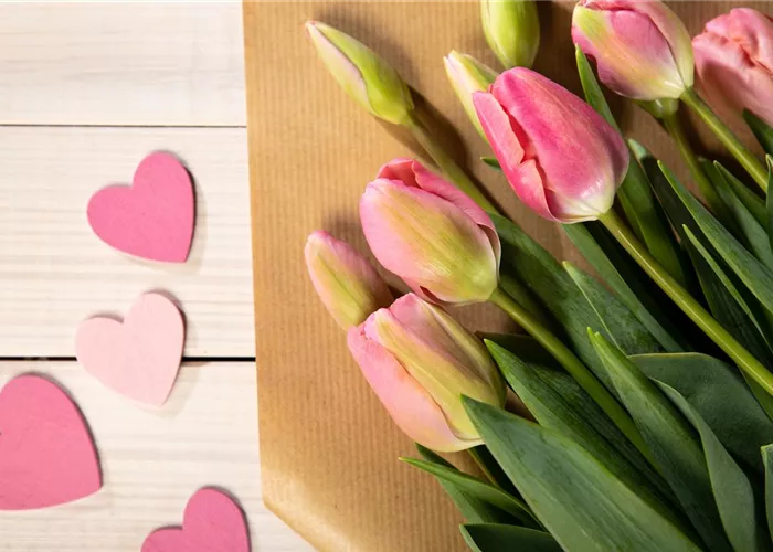 Florist/in (m/w/d) ab sofort gesucht 