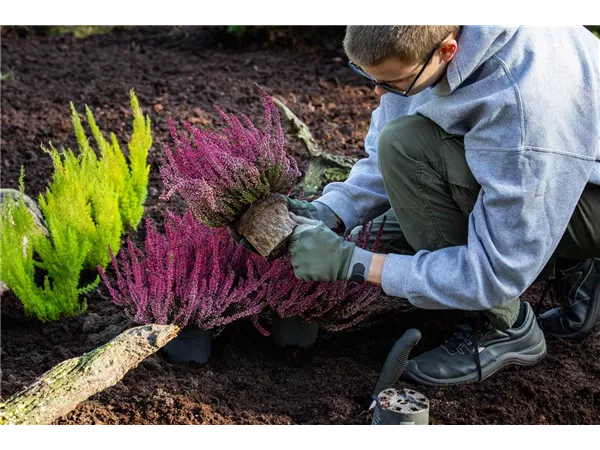 Gärtner/in (m/w/d) für Gartencenter gesucht (Gärtner/in - Baumschule) 