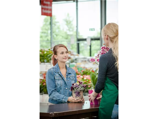 Kassierer/in (m/w/d) auf 520,00 € Basis gesucht