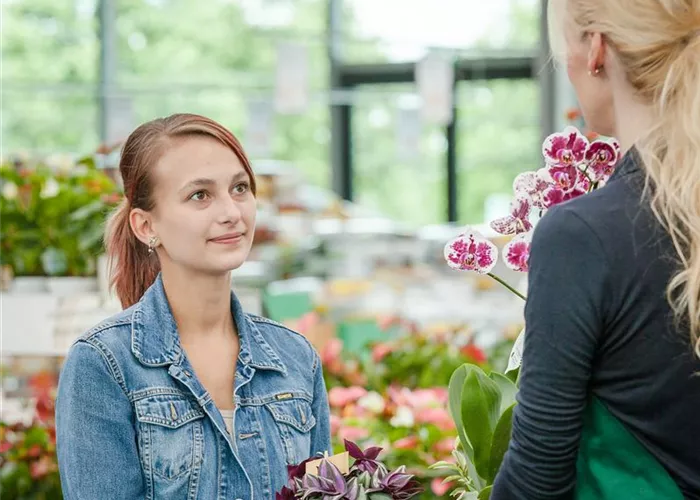 Kassierer/in (m/w/d) auf 520,00 € Basis gesucht