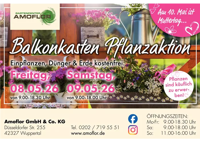Balkonkasten Pflanzenaktion