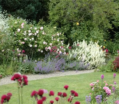 Aller Anfang ist (nicht) schwer - der erste eigene Garten Aller Anfang ist (nicht) schwer - der erste eigene Garten